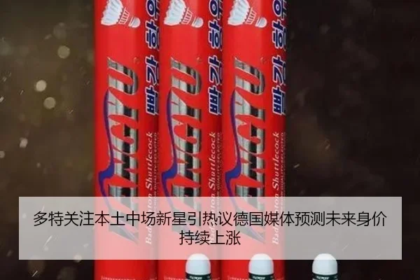 多特关注本土中场新星引热议德国媒体预测未来身价持续上涨